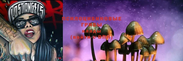 ешки Вязники