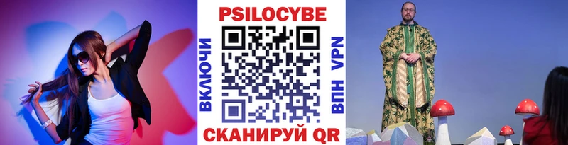 мега зеркало  Дмитров  Галлюциногенные грибы Psilocybe 